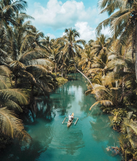 How to get cheaper and better flights